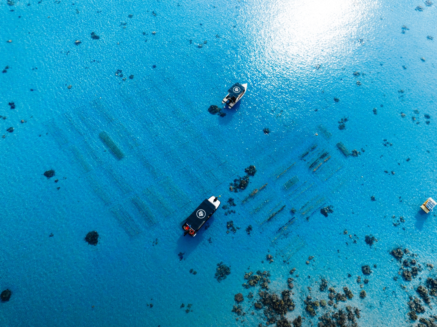 Aerial view of THE NAT GARDEN nursery lines in the lagoon at Tiaia